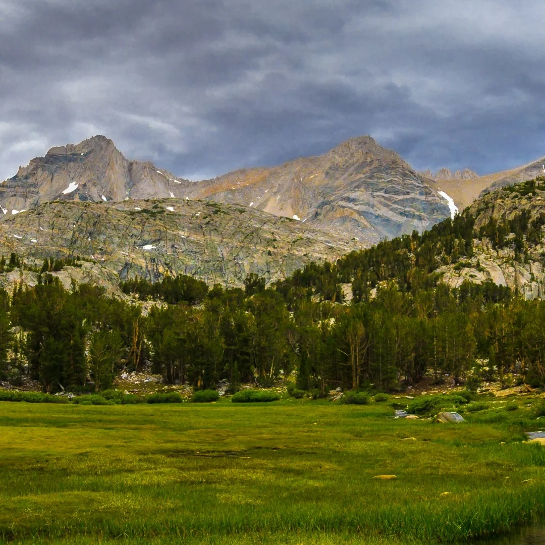 L 8G+256G Android 1…