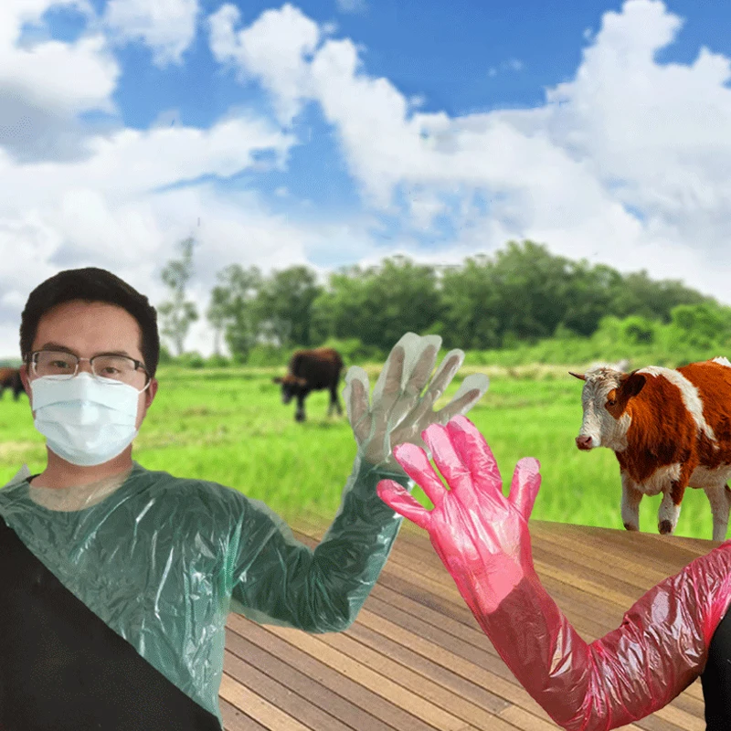 

50 Pcs Disposable Veterinary Insemination Rectal Arm Length Gloves Pig Cow Gloves Poultry Feeding Gloves Supplies