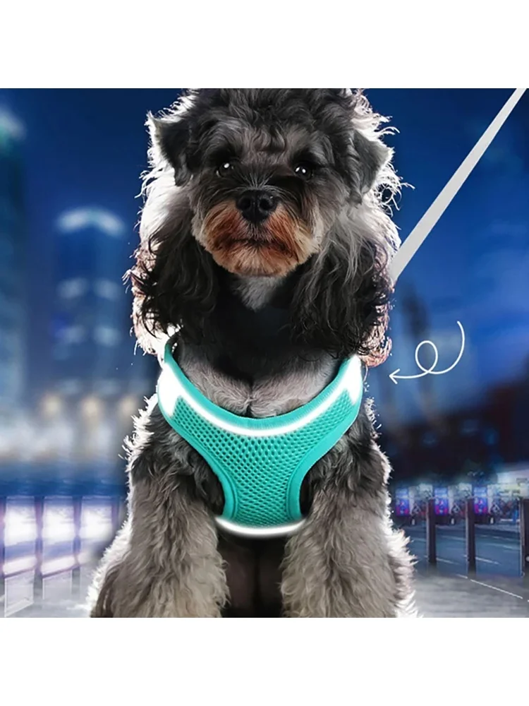 MADDEN chien harnais gilet poitrine corde ensemble pour chat réfléchissant respirant réglable harnais pour animaux de compagnie pour petit moyen chien en plein air marche