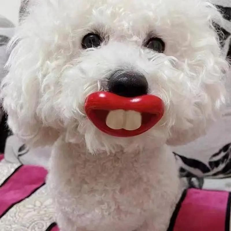 

1Pcs Funny Dog Pacifier Silicone Buckteeth Pacifier for Small Dog Red Lips Cat Dog Muzzle Puppies Dental Health Pet Supplies