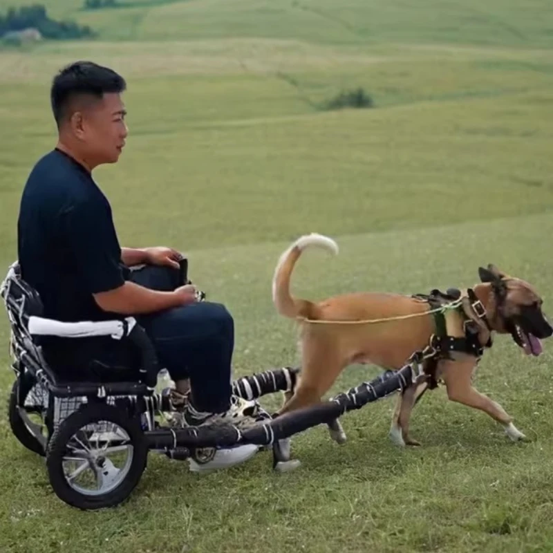 Adecuado para 40 ~ 40kg, remolque ligero para mascotas, perro que tira la persona que camina, kit de coche Rab samoyedo