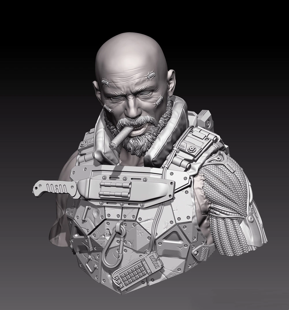 

1/10 Resin Model Bust GK，Unassembled and unpainted kit