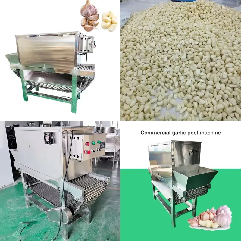 Commercial Garlic Peeling Machine Food Processing Equipment for Garlic Peeling