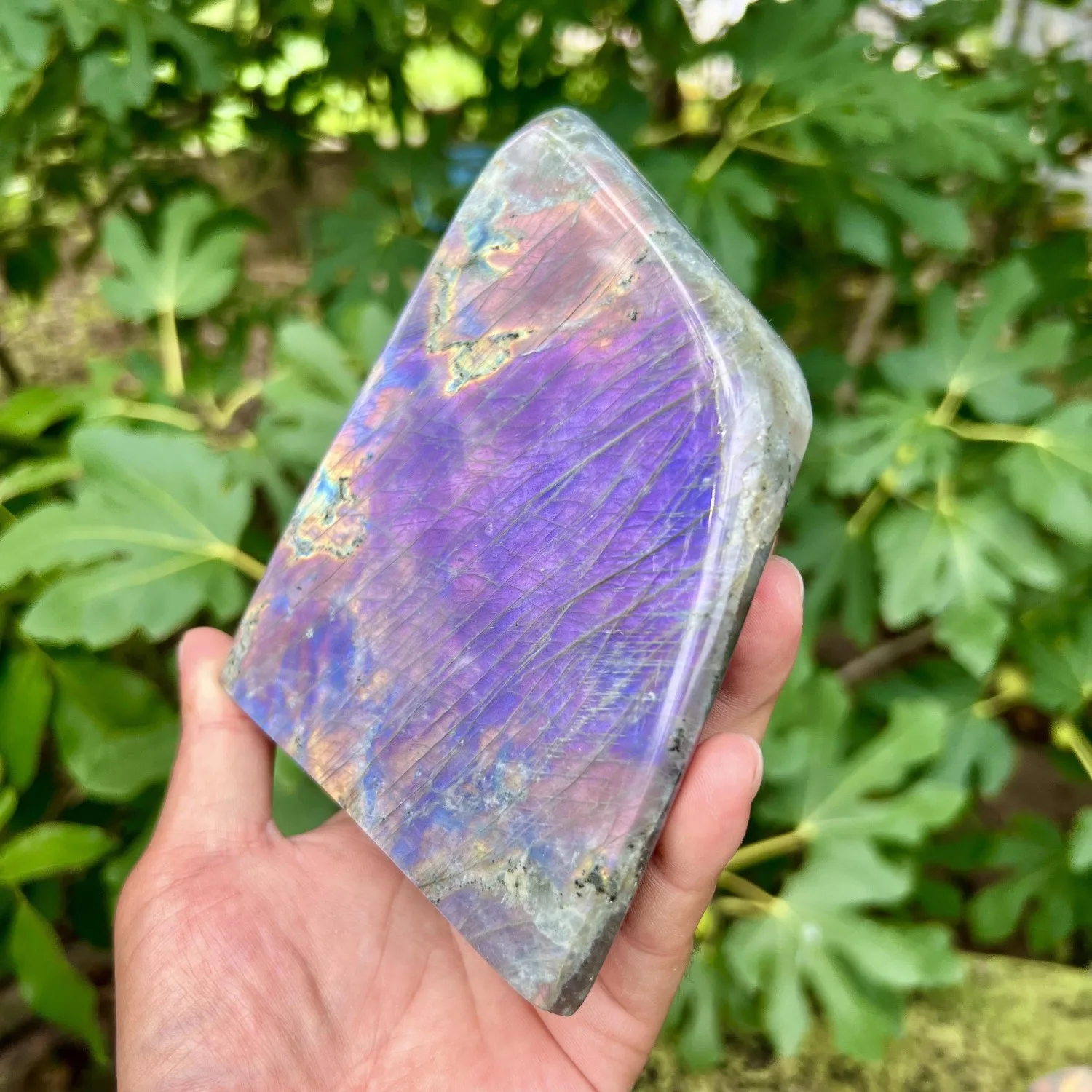 Natural Purple Flash Labradorite Free Form Display Ornament Polished Crystal Healing Stone Mineral Specimen Home Decoration Gift