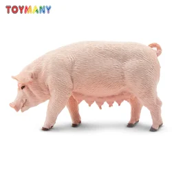 Toymany Simulation Female Adult Pig Farm Animal Model Toy Mini Figures Dolls Action Figurines Toys Children Gift Cake Decoration