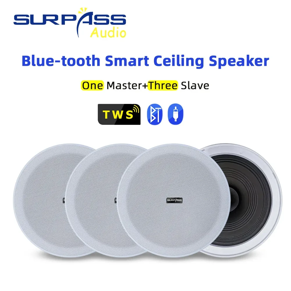 Inteligentny kino domowe Tuya Wifi Zigbee 12.3'' Ścienny wzmacniacz Android 11 Panel dotykowy z zestawem głośników Bluetooth do salonu