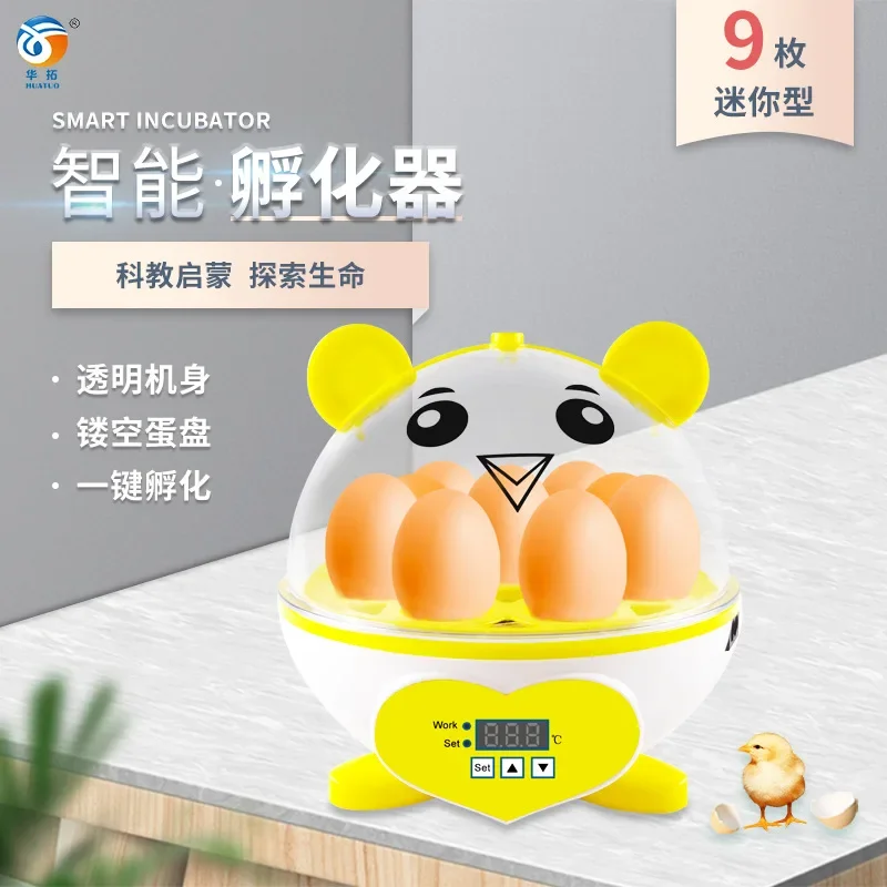 Egg incubator  automatic Small mini 9 egg temperature control  semi-automatic micro  pigeon and bird