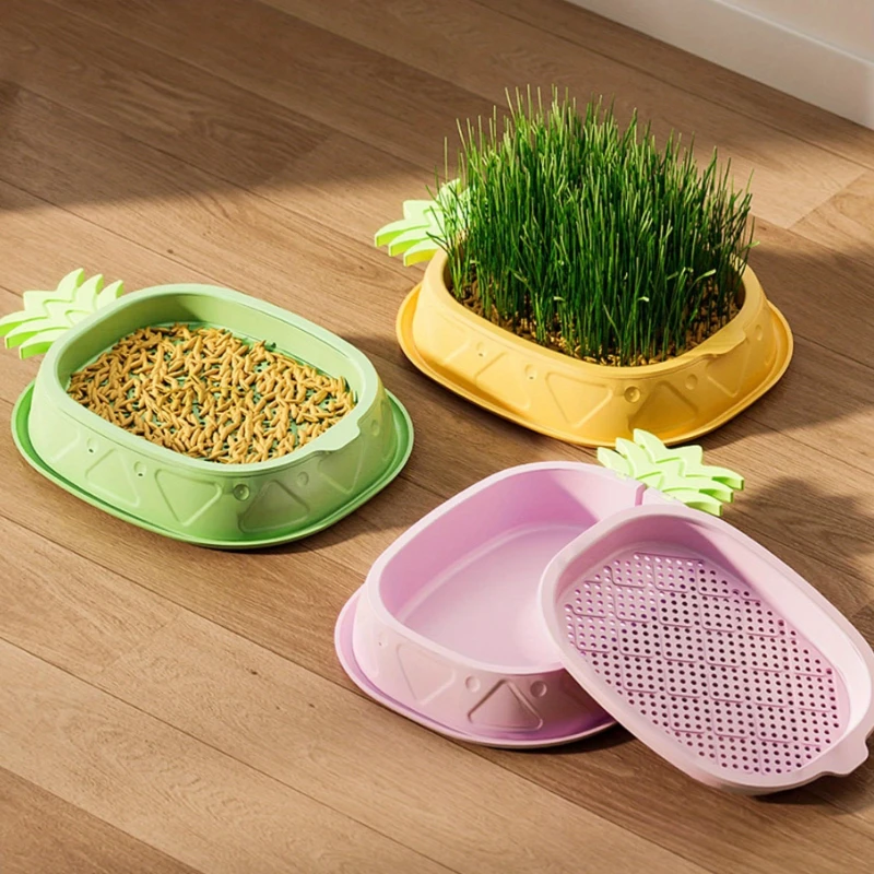 1pc Detachable Cat Grass Planter,Two-Layer Hydroponic Planter for Cat Grass Seeds(Seeds Not Included, Planting Tray Solely)