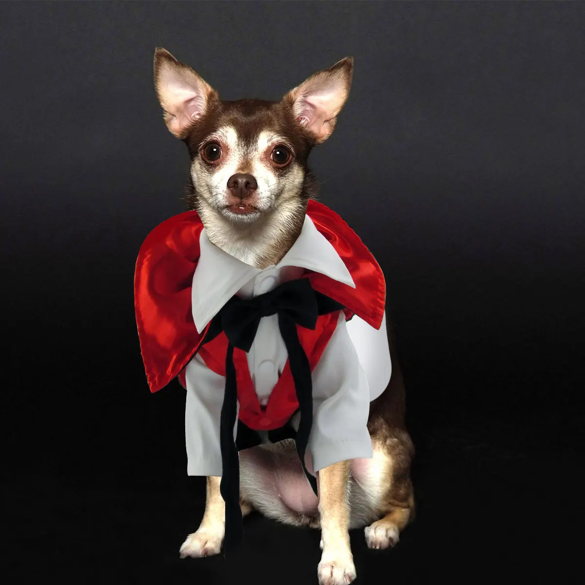 

Pet Dog Costume Cosplay Funny Clothes Costumes Halloween Dresses for Transformation Outfit Dogs
