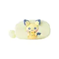 Pouch 