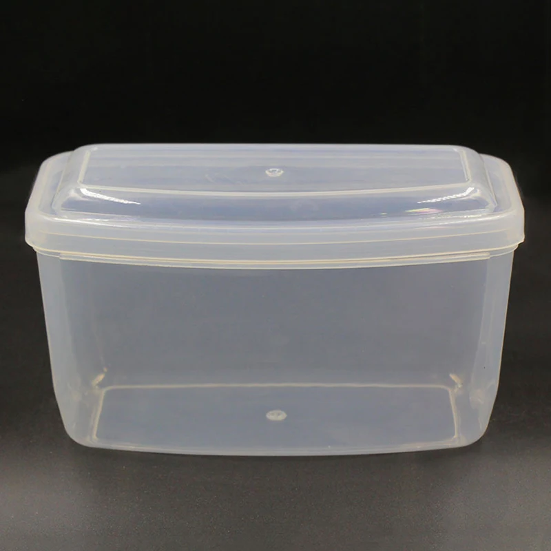 Caja de almacenamiento de plástico duro para máscara de buceo, estuche transparente para gafas de esnórquel, Protector de gafas de natación