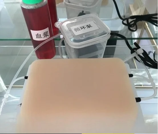 Ultrasonic teaching aids scientific equipment Triangular prism guided PICC vascular puncture teaching model