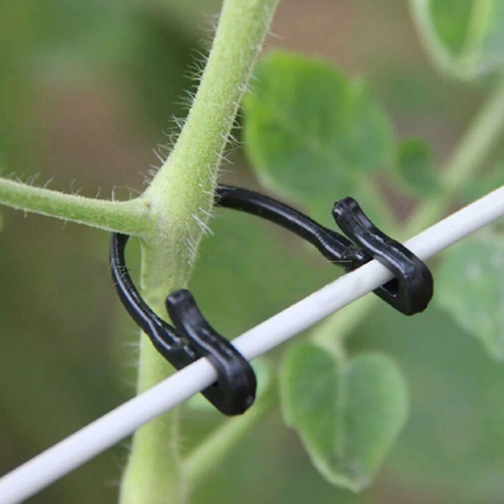 

200pcs Plastic Garden Plant Support Clips Rattan Climbing Fixing Trellis Vine Clips For Tomatoes Grape Stem Garden Tool
