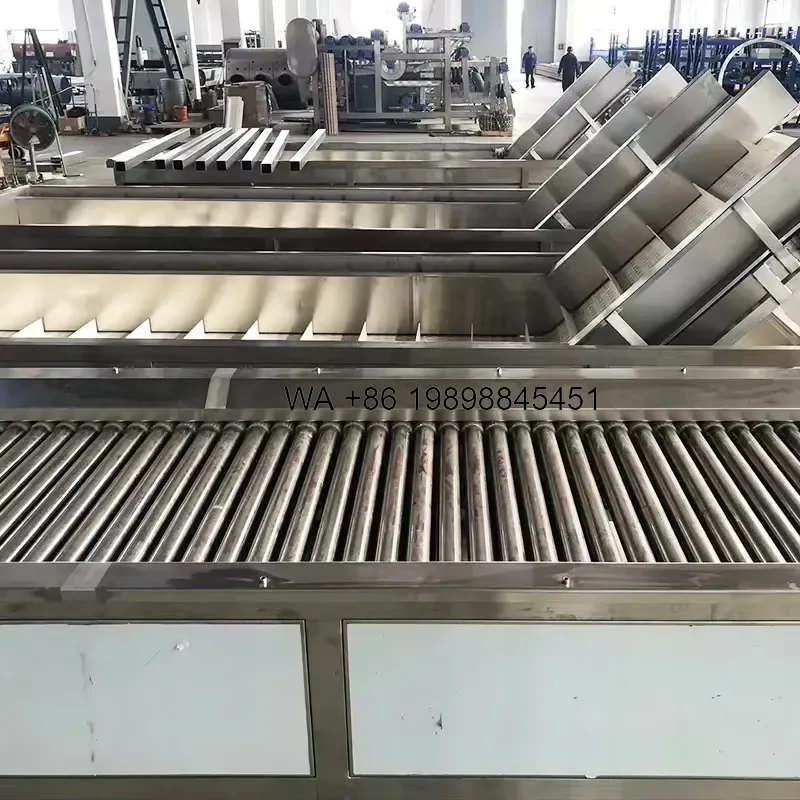 Wmwmnu for Lemon Sorting Washing and Waxing Automatic Orange Mango Fruit Wash Waxing