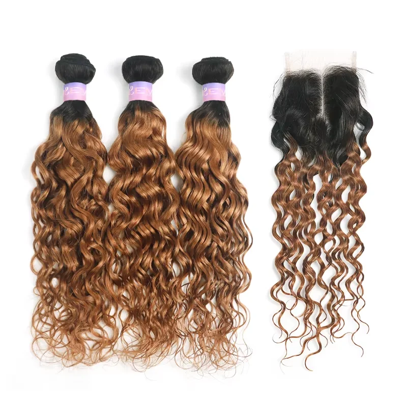 Water Wave Bundles With Closure T1B/30 Ombre Brown Colored Hair Weave Bundles With 4x4 Lace Closure Brazilian Remy Human Hair