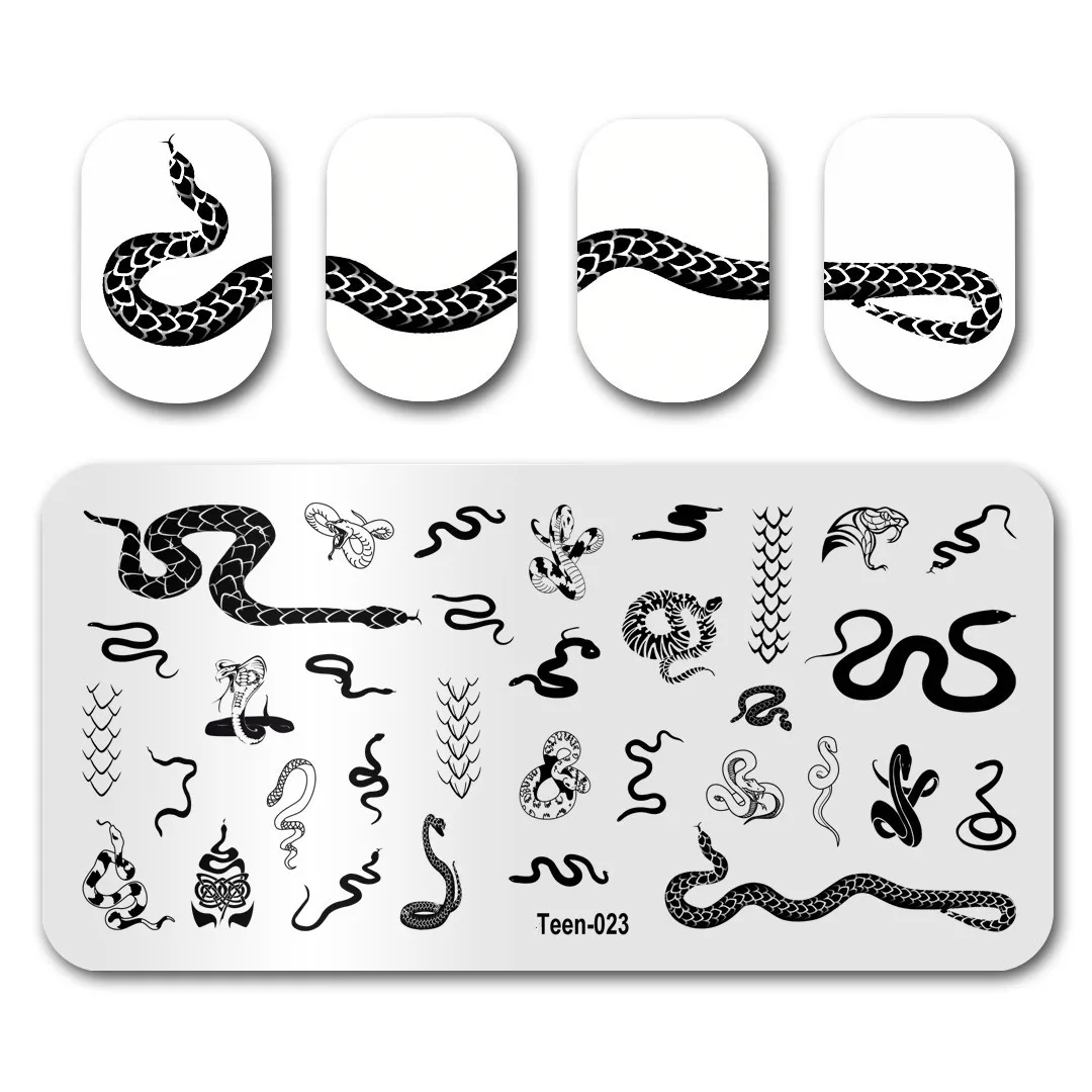 12*6cm Sexy Lady Nail Art Templates Stamping Plate Design Snake Mouse Dragon Glass Temperature Lace Stamp Templates Plates Image