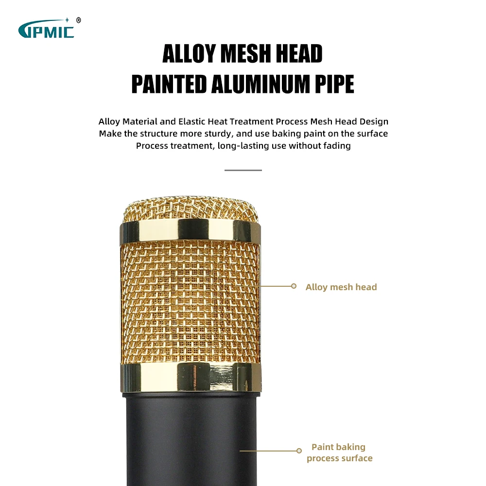 Condenser microphone BM-800 microphone broadcast singing recording microphone with plastic shock mount