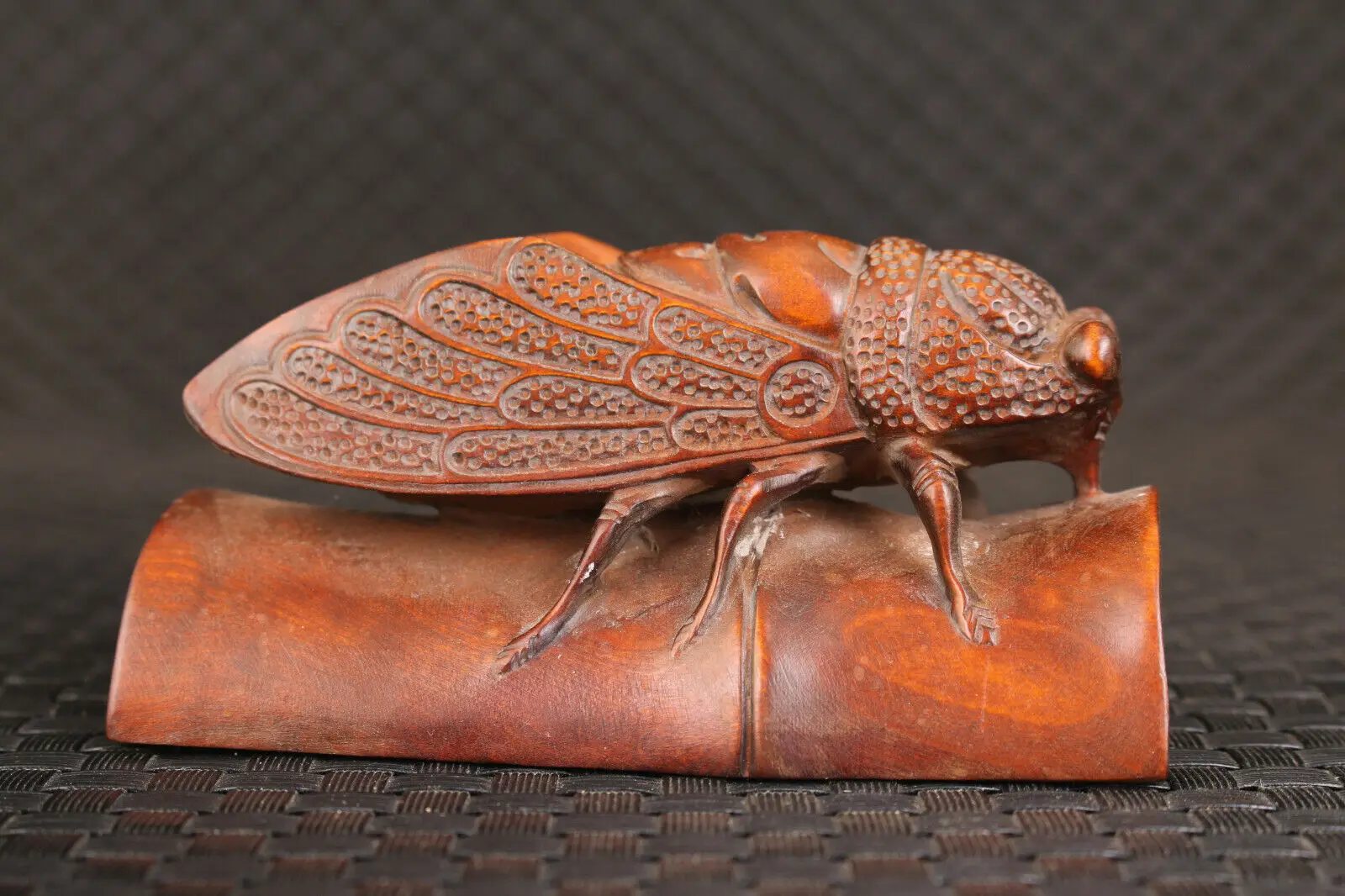 Japanese boxwood hand carved cicada Figure statue netsuke collectable art