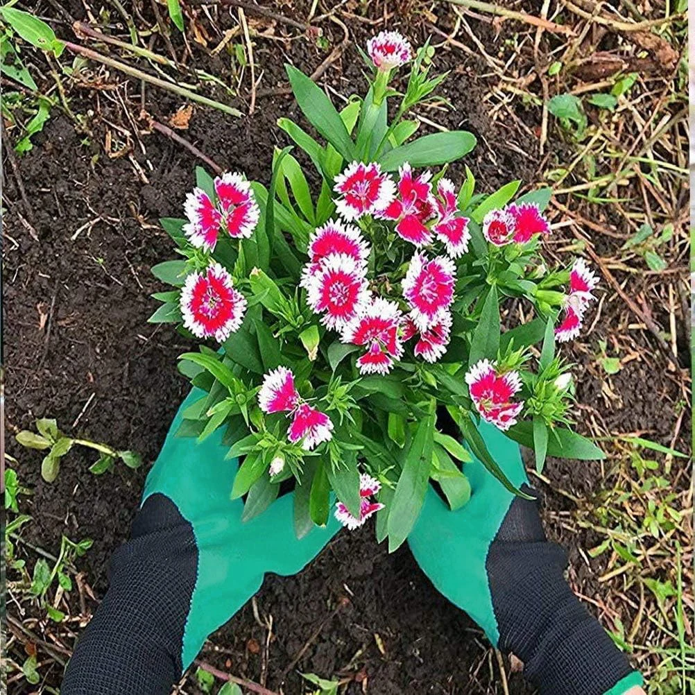 Rękawice ogrodnicze z pazurami mogą pomóc użytkownikom kopaczyć ziemię, wyrywać chwasty, rozluźnić glebę i inne z wyższej wydajności i wyższej wygodności.