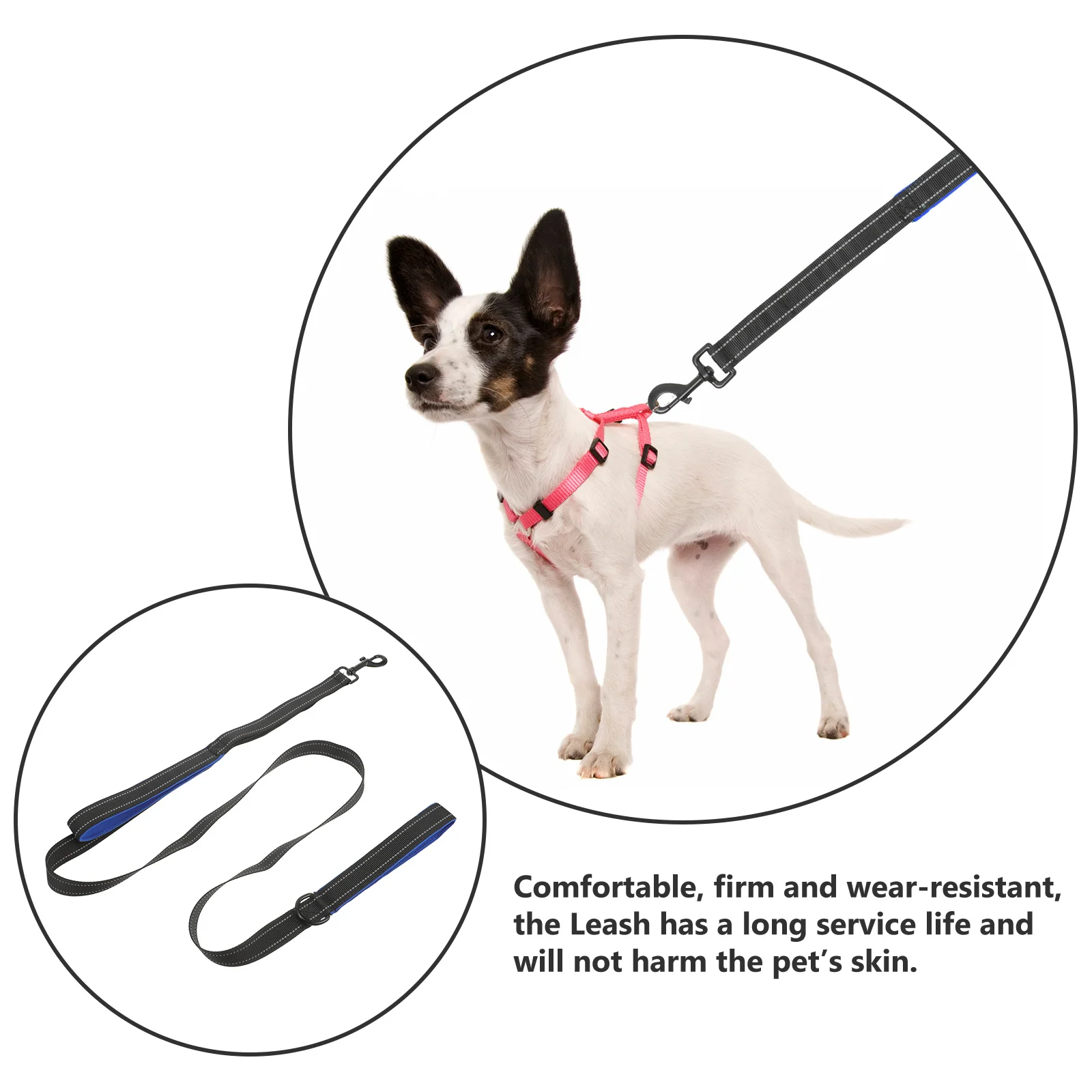 

Sturdy Dog Leash Reflective Trims Pet Walking Rope Ergonomic Design Safe Night Visibility Supplies Dog Leash Pulling Rope