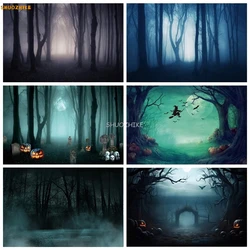 Fondo de fotografía de Halloween de bosque oscuro brumoso, bosque, Gloomy Grove, bruja mágica, mago, hechicero, fantasma, Luna de terror