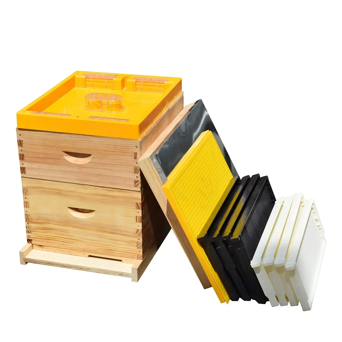 

Beekeeping Equipment Wood Bee Hive 10 Frames Langstroth Beehive Box Kit