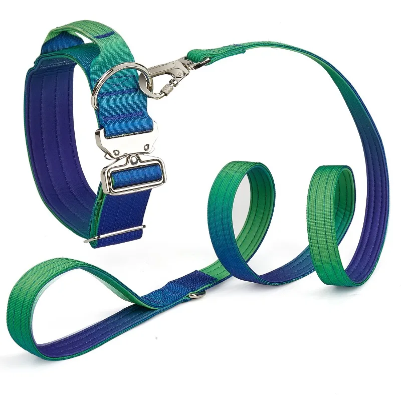 Dog Leash Collar with Large, Medium and Small Gradual Change Color Set Pet Supplies
