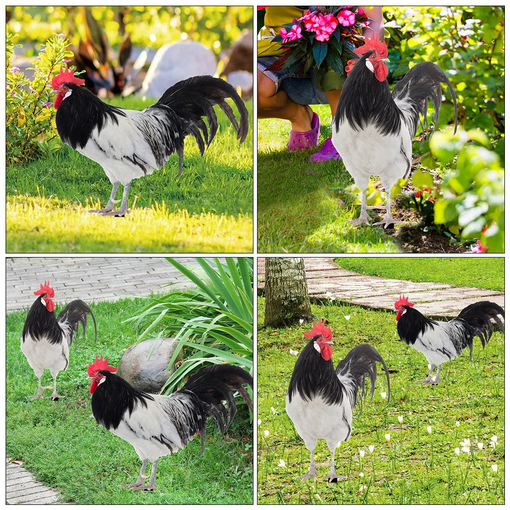 

2Pcs Garden Rooster Insert Realistic Acrylic Chicken Stake for Outdoor Lawn Decoration Yard Ornaments Decorative Garden Signs