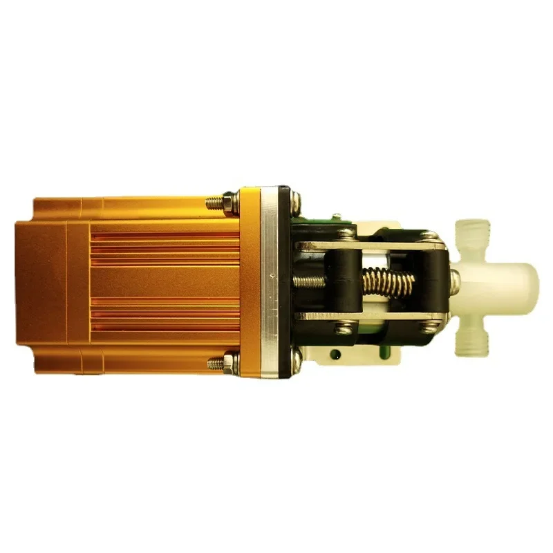 Drive Control Integrated Pump Ceramic Piston Pump,