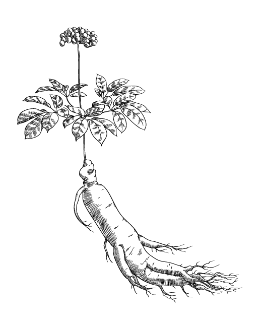 4Pcs 50mm Rubber Tire Tyre Wheel For SG1603 SG1604 SG1605 UDIRC UD1601 UD1602 UD1603 UD1604 1/16 RC Car Upgrade Parts