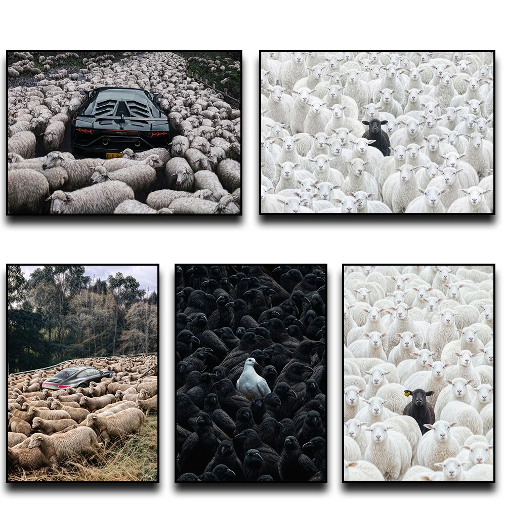 Schwarzes Schaf in Flock, Wandkunst, Poster, schwarze Taube in Taube, Flock, Leinwandkunstdrucke, Auto in Flock, Dekor, Bild, Leinwandgemälde