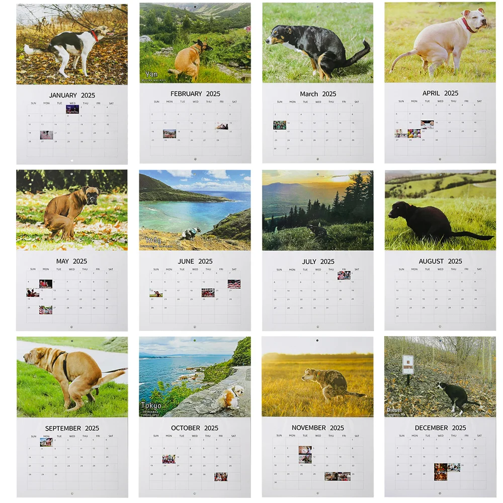 Calendario de pared de perro con diseño de cachorros que caca en lugares hermosos, calendario de pared de perro divertido, arte de pared, mordaza,