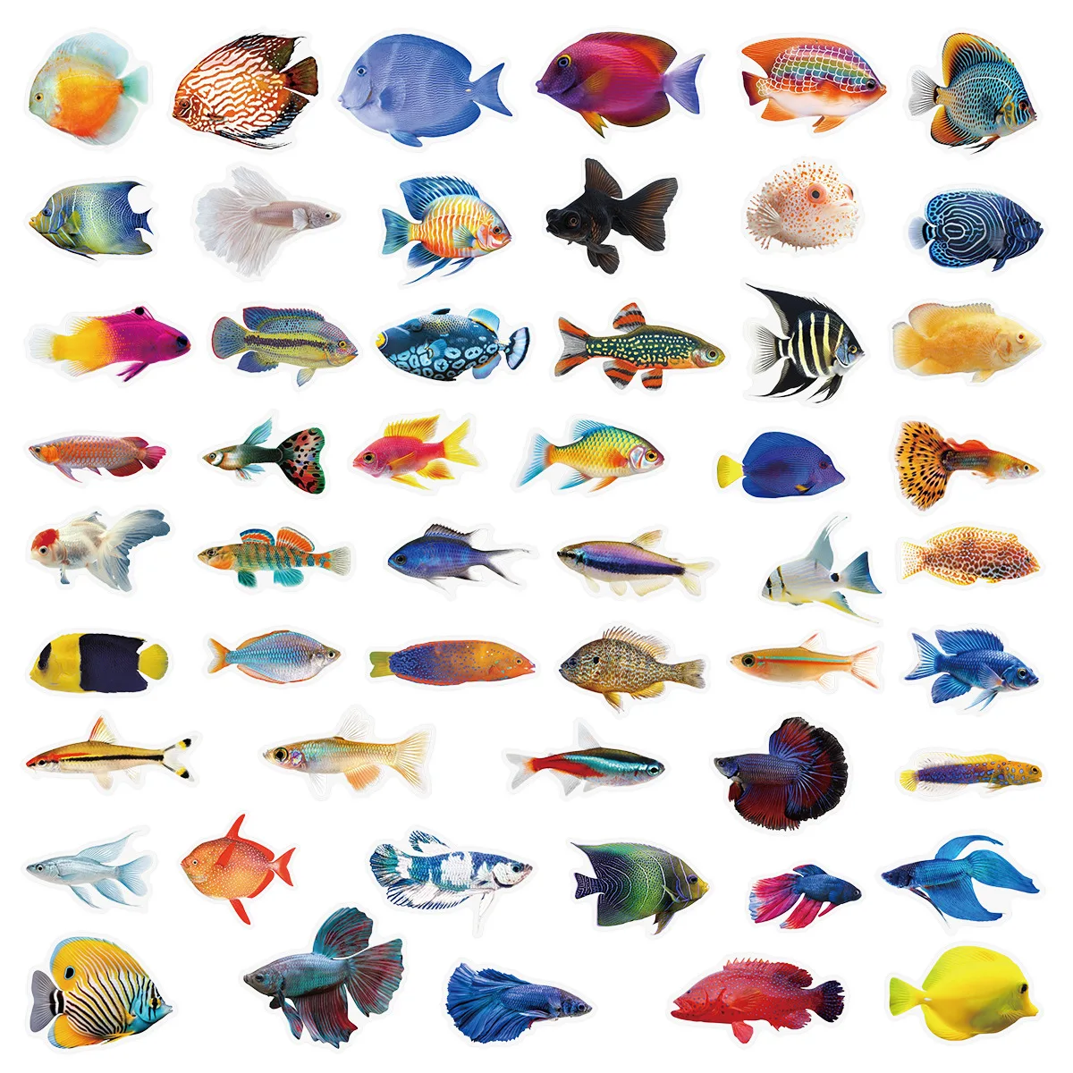 50PCS Transparent PET Fish Stickers Phone Luggage Water Cups Computer Office Stationery Decoration Waterproof Stickers image 3