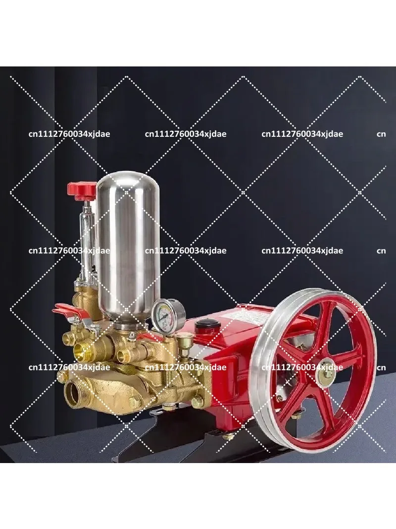120 Type Diesel Engine Water Pump High Pressure Three Cylinder Piston Pump Large Flow Remote Sprayer Agricultural Equipment