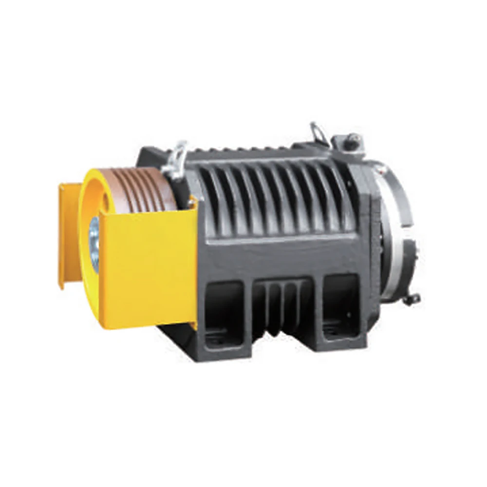 

NOVA Professional Good Performance Elevator Roomless Dumbwaiter Gearless Traction Machine Motor for Sale