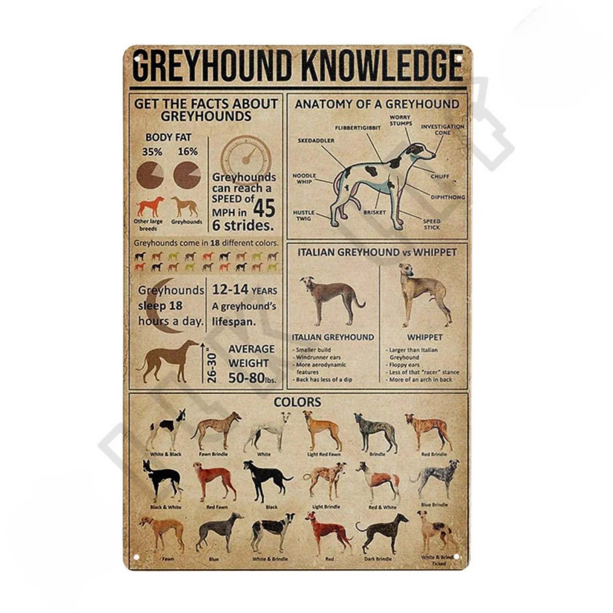 Vintage Greyhound Dog Metal Tin Sign I Am Your Friend Poster Bathroom Room Kitchen Garage Home Coffee Shop  Art Wall Decoration