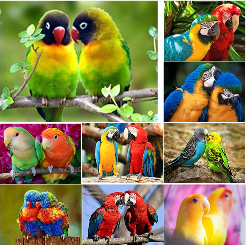 5D DIY Diamond Painting Colorful Animals Parrot Embroidery Mosaic Crafts Picture Full Drill Cross Stitch Art Kit Home Decor Gift