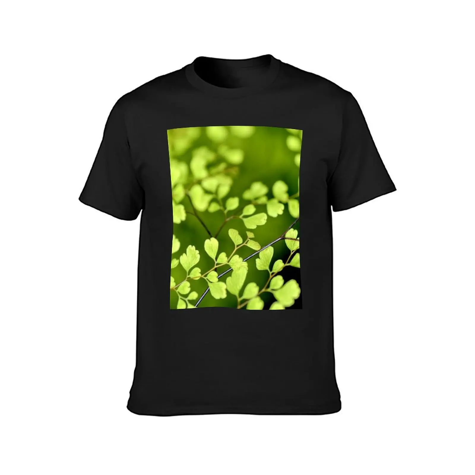 Spring evolves T-shirt sports fans funnys men t shirts