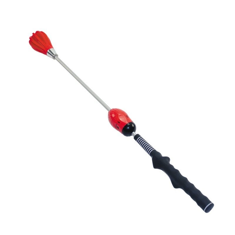 

Golf Swing Practitioner Adjustable Strength Swing Strength Training Golf Magnetic Stick
