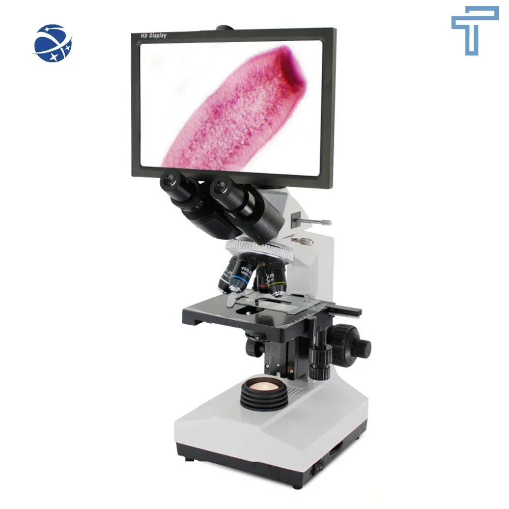 11.6 inch China Stereo medical microscope with LCD screen 40x-1600x digital biological optics Microscope Price with camera