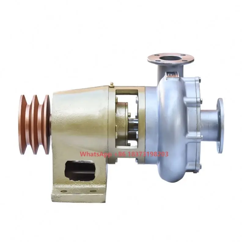 

Lead the Industry Wholesale Price Water Pump Sea 2.5inch