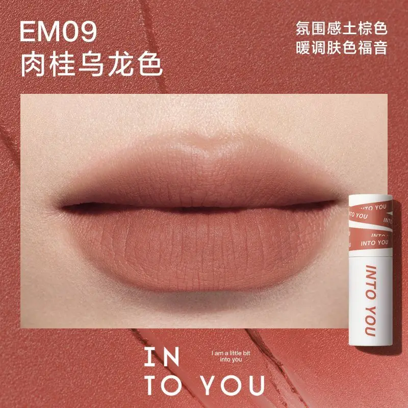 INTO YOU lápiz labial mate de larga duración, taza antiadherente, lápiz labial líquido mate de terciopelo, esmalte de labios, Maquillaje de labios de castaño Natural