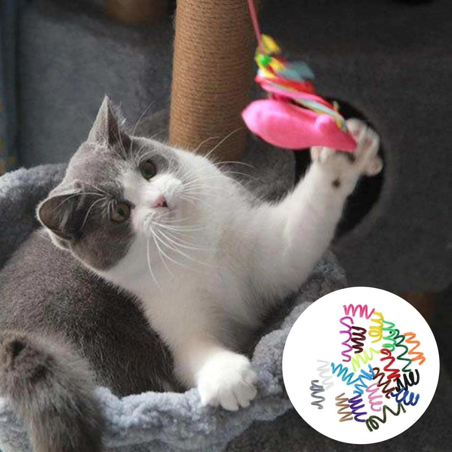 ألعاب القطط الينابيع الغامضة والتفاعلية والملونة والنابضة بالحياة من أجل القطط المرحية الخاصة بك من لعبة Elines! توفير لا نهاية لها