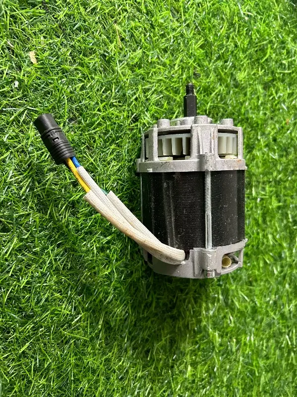 36V Brushless Permanent Magnet DC Motor, High Torque BLDC Motor for Equipment Modification