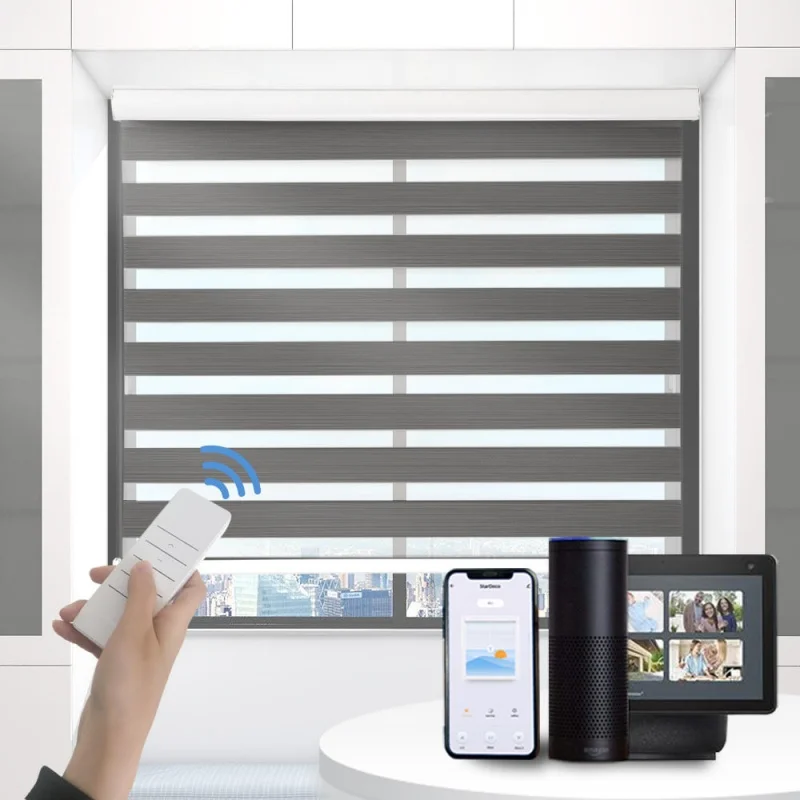 

Custom Smart Modern Shades Dual Layer Filtering Fabric Compatible with Google Home Alexa Voice Electric Zebra Blinds For Windows
