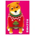 red sweater dog