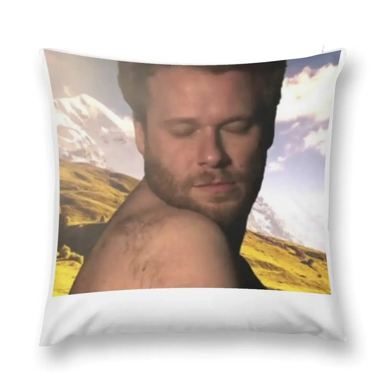 Seth Rogen Hella Ugly shirt Throw Pillow sleeping pillows Anime Decorative pillowcase Pillow Case Christmas pillow