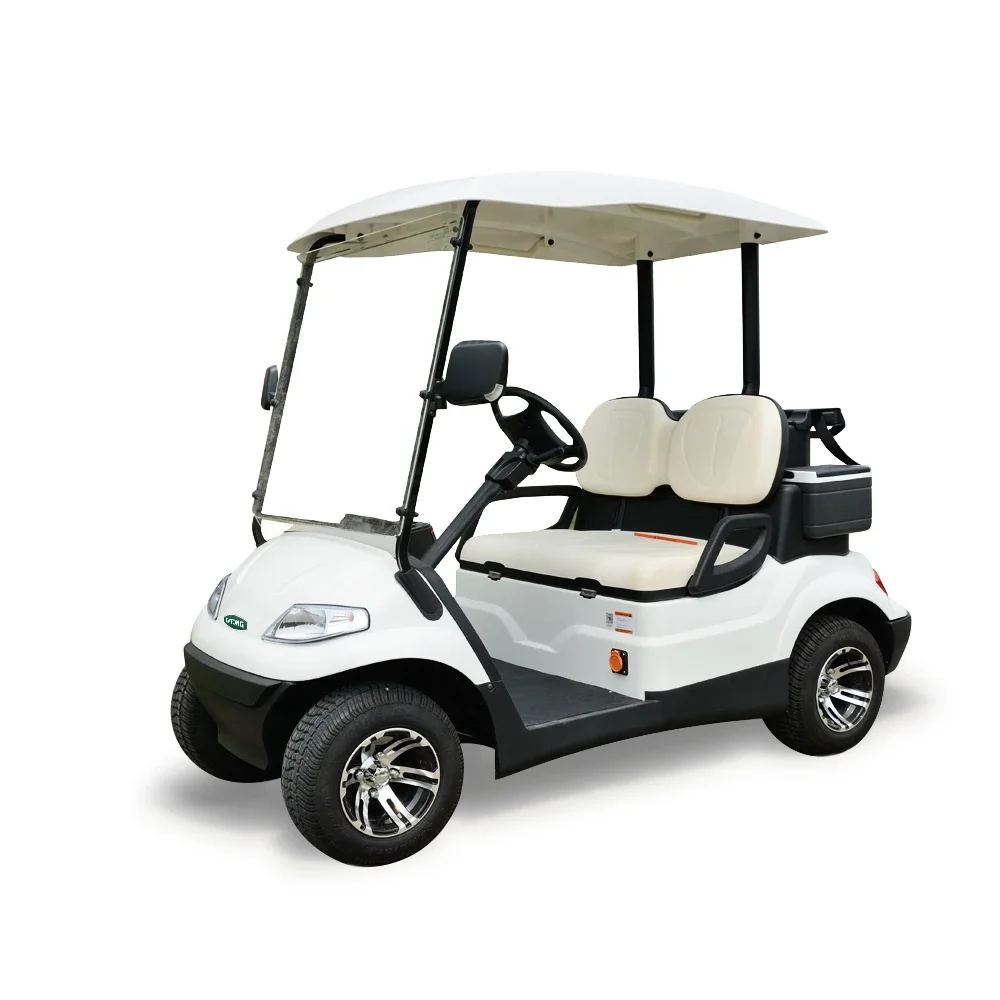 Hot Sale 2 Person Electric Mini Golf Cart