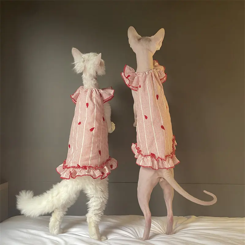 Vestido de algodón para gatos Devon Rex y Sphynx con cuello de encaje - imagen 3