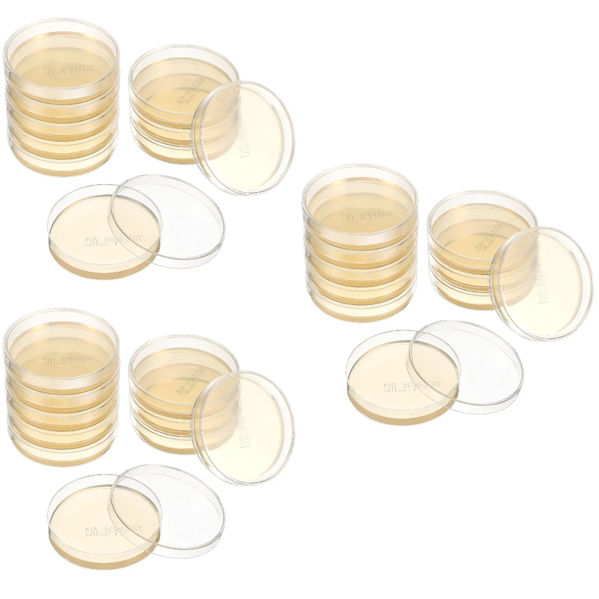 Ensemble de 3 assiettes en agar pour bébé, plats préversés en Petri pour l'expérience, la suite, la foire scientifique, l'outil de projets, la culture des tissus